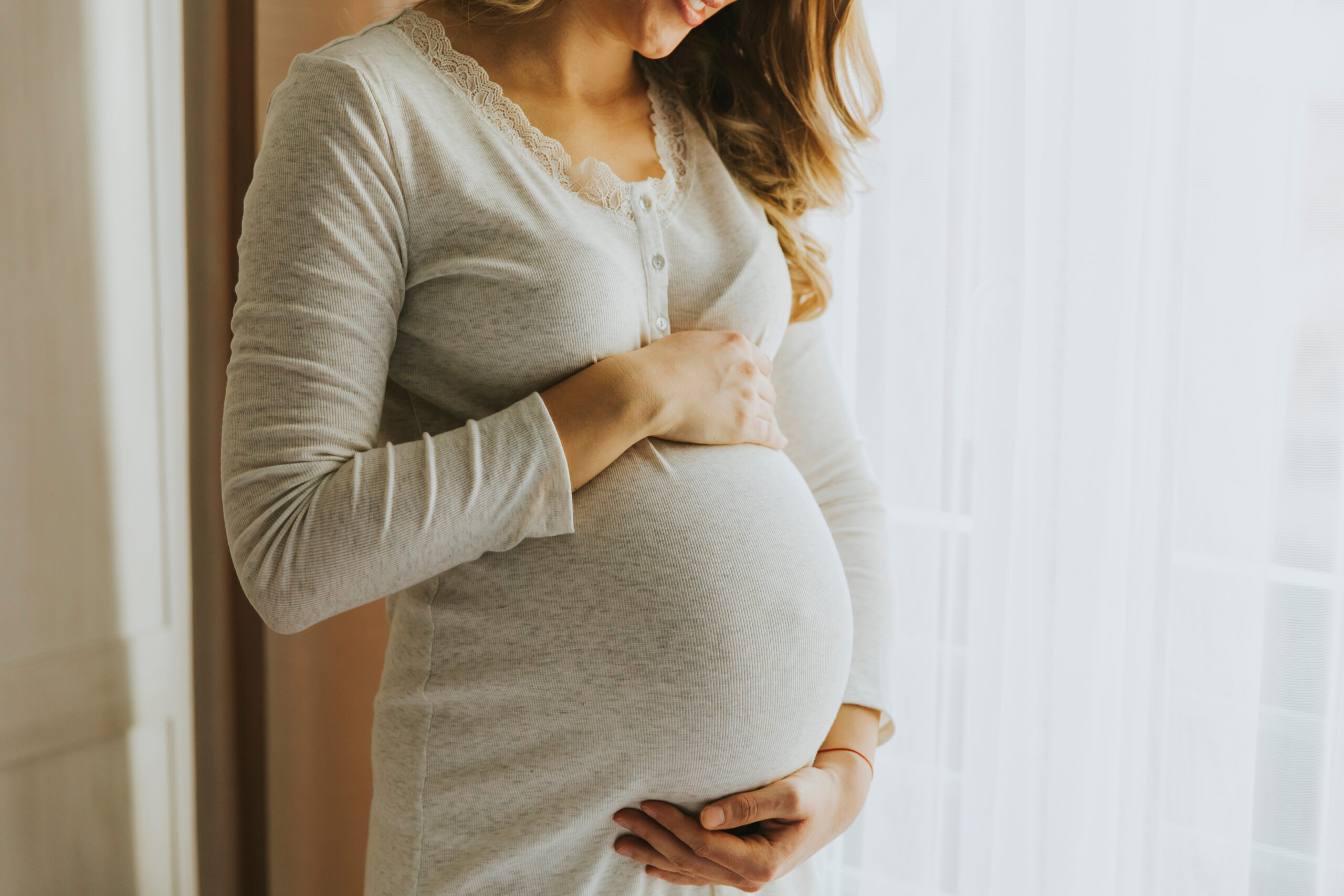 Portrait of the young pregnant woman by the window