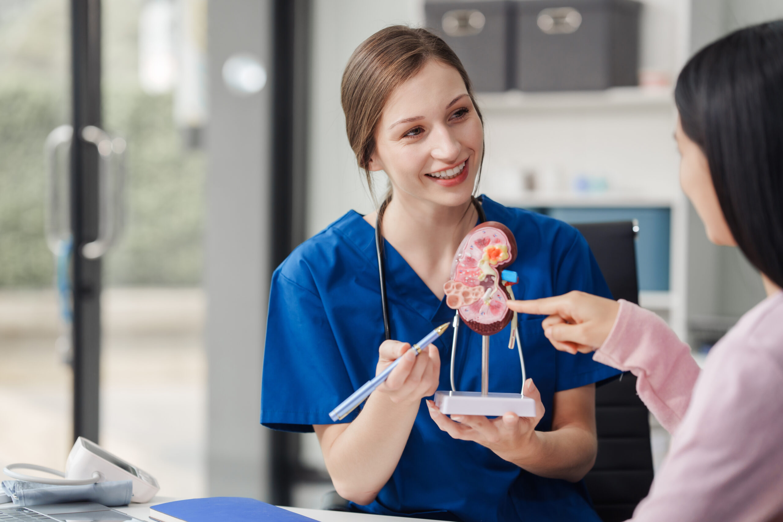 Kidney disease, Chronic kidney disease ckd, Female doctor explains the causes of the disease and treatment guidelines on kidney model to female asian patient at desk at urology hospital room.